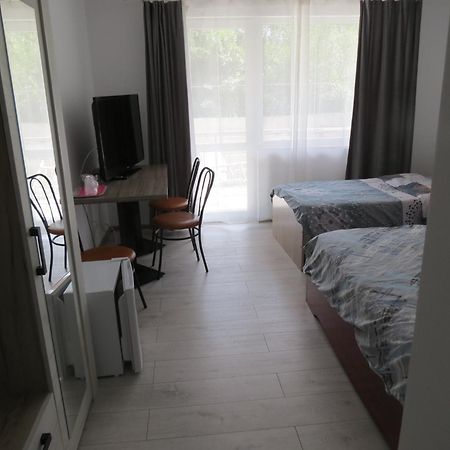 Pensiunea Cetina Brad  Buitenkant foto