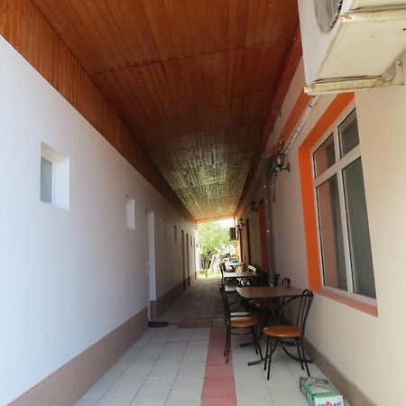Pensiunea Cetina Brad  Buitenkant foto