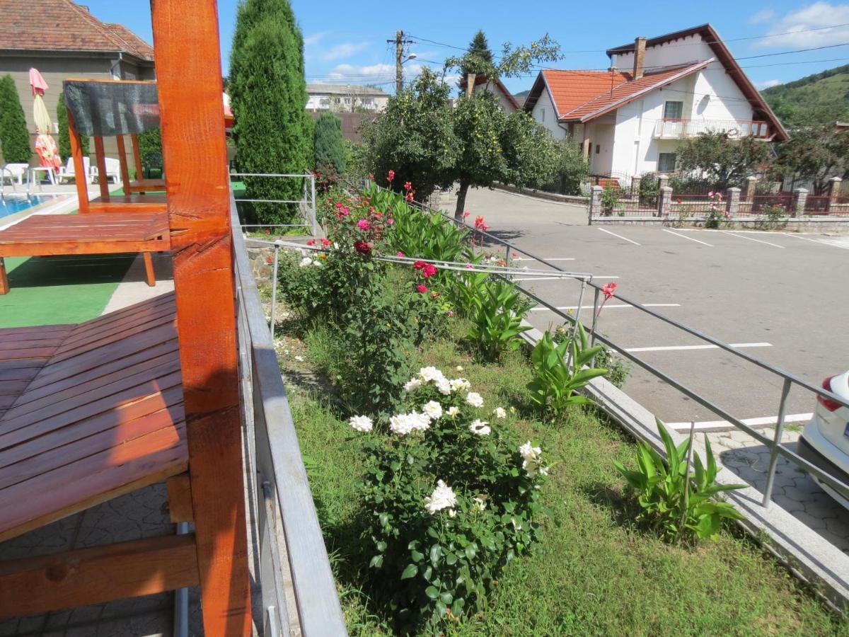 Pensiunea Cetina Brad  Buitenkant foto