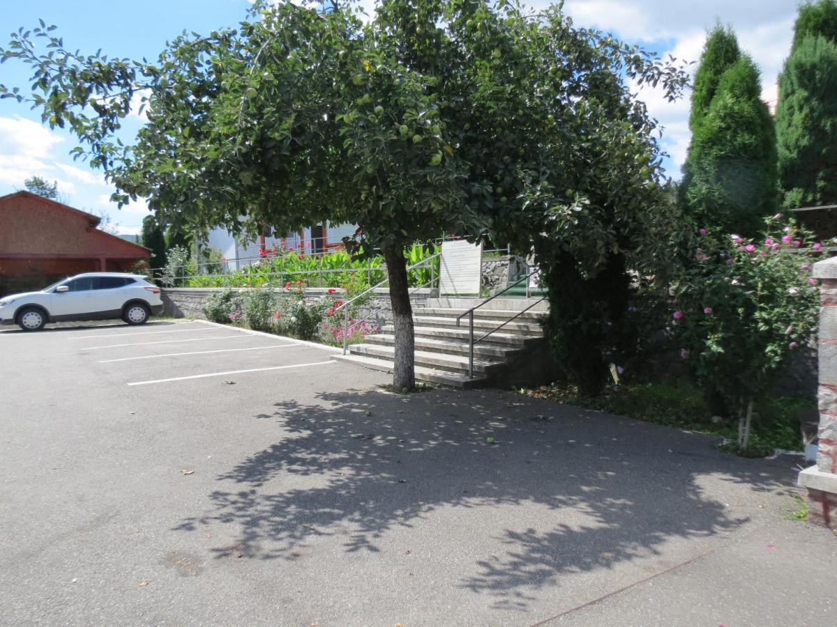Pensiunea Cetina Brad  Buitenkant foto