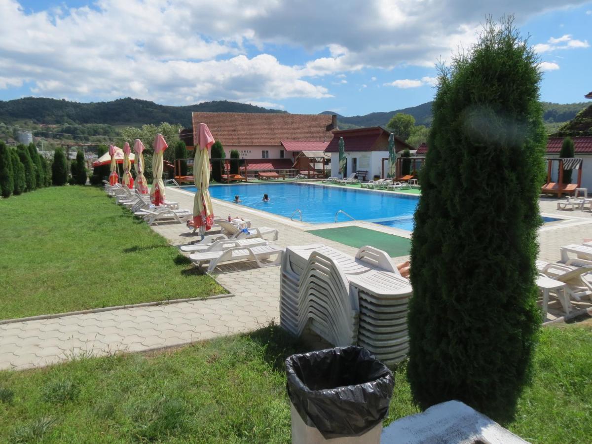 Pensiunea Cetina Brad  Buitenkant foto