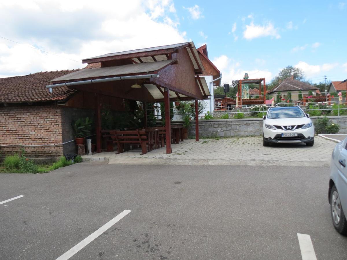 Pensiunea Cetina Brad  Buitenkant foto