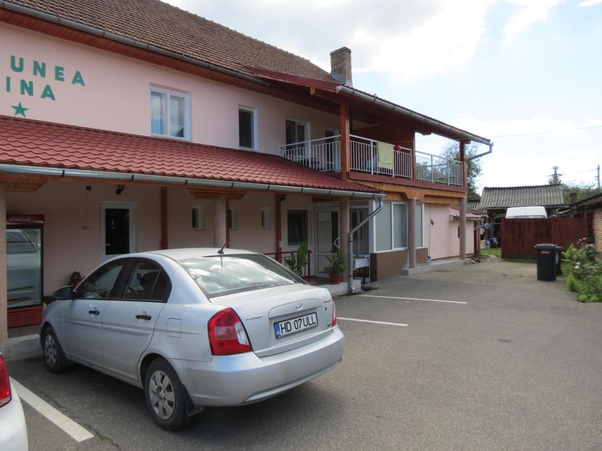 Pensiunea Cetina Brad  Buitenkant foto