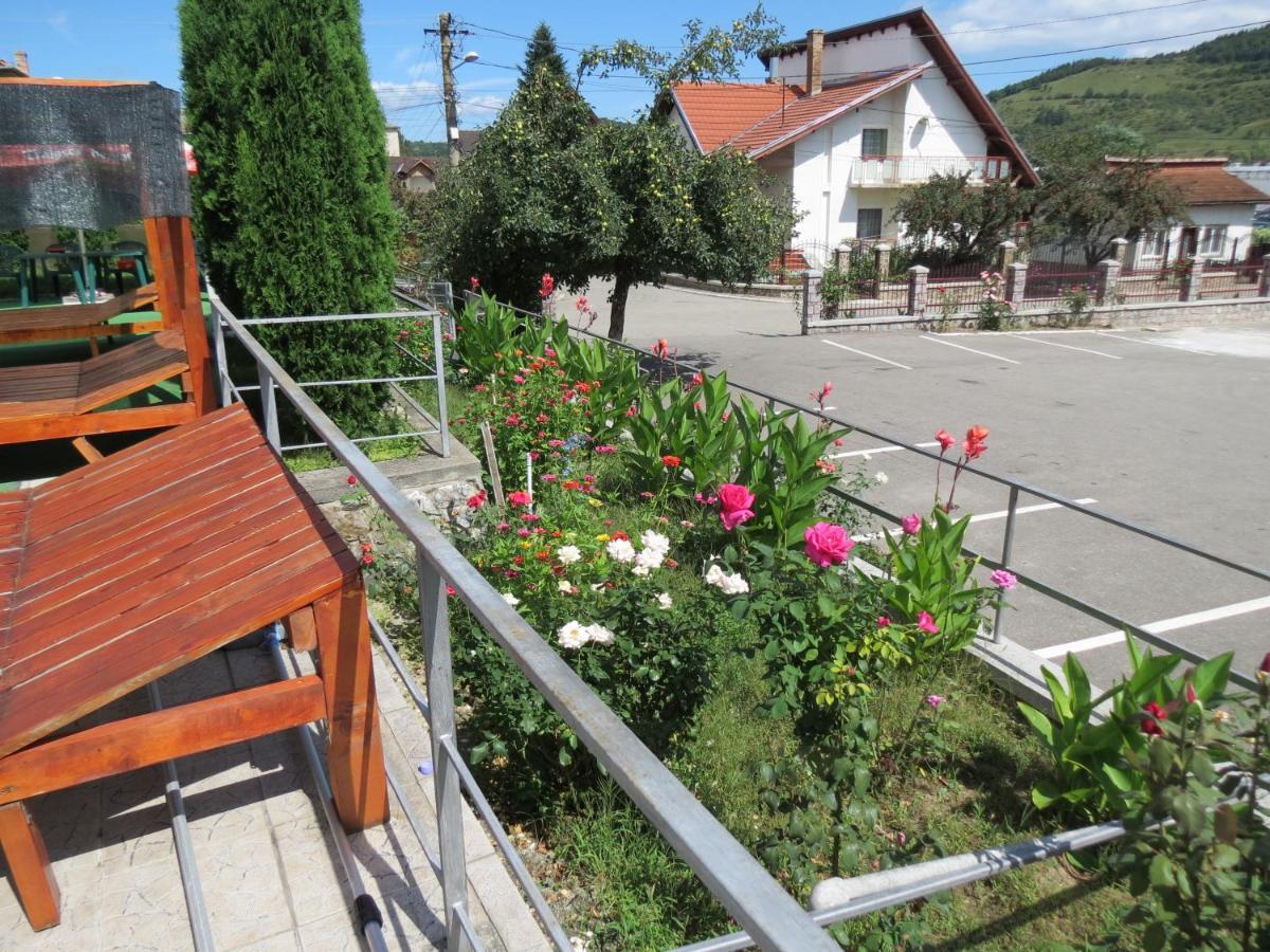 Pensiunea Cetina Brad  Buitenkant foto