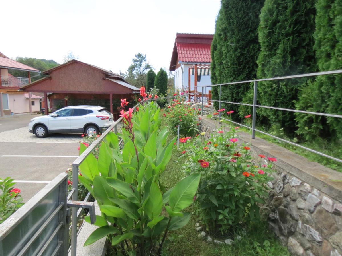 Pensiunea Cetina Brad  Buitenkant foto