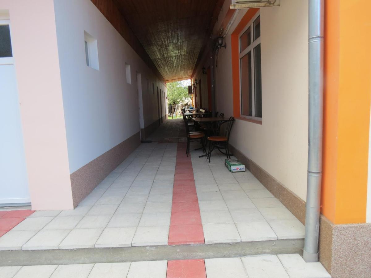 Pensiunea Cetina Brad  Buitenkant foto