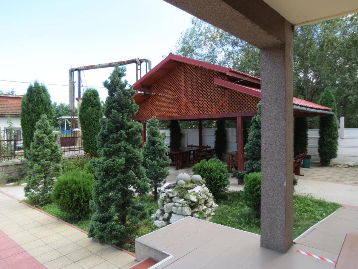 Pensiunea Cetina Brad  Buitenkant foto