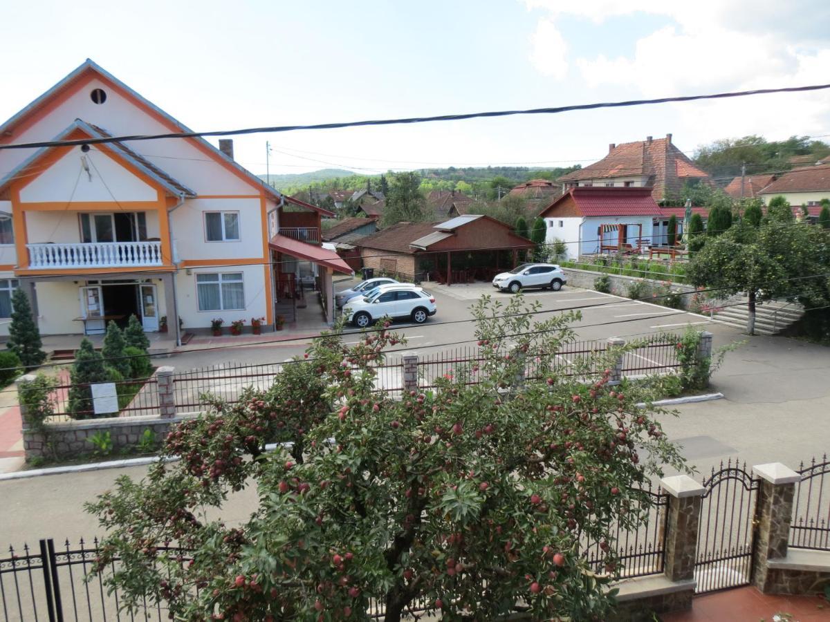 Pensiunea Cetina Brad  Buitenkant foto
