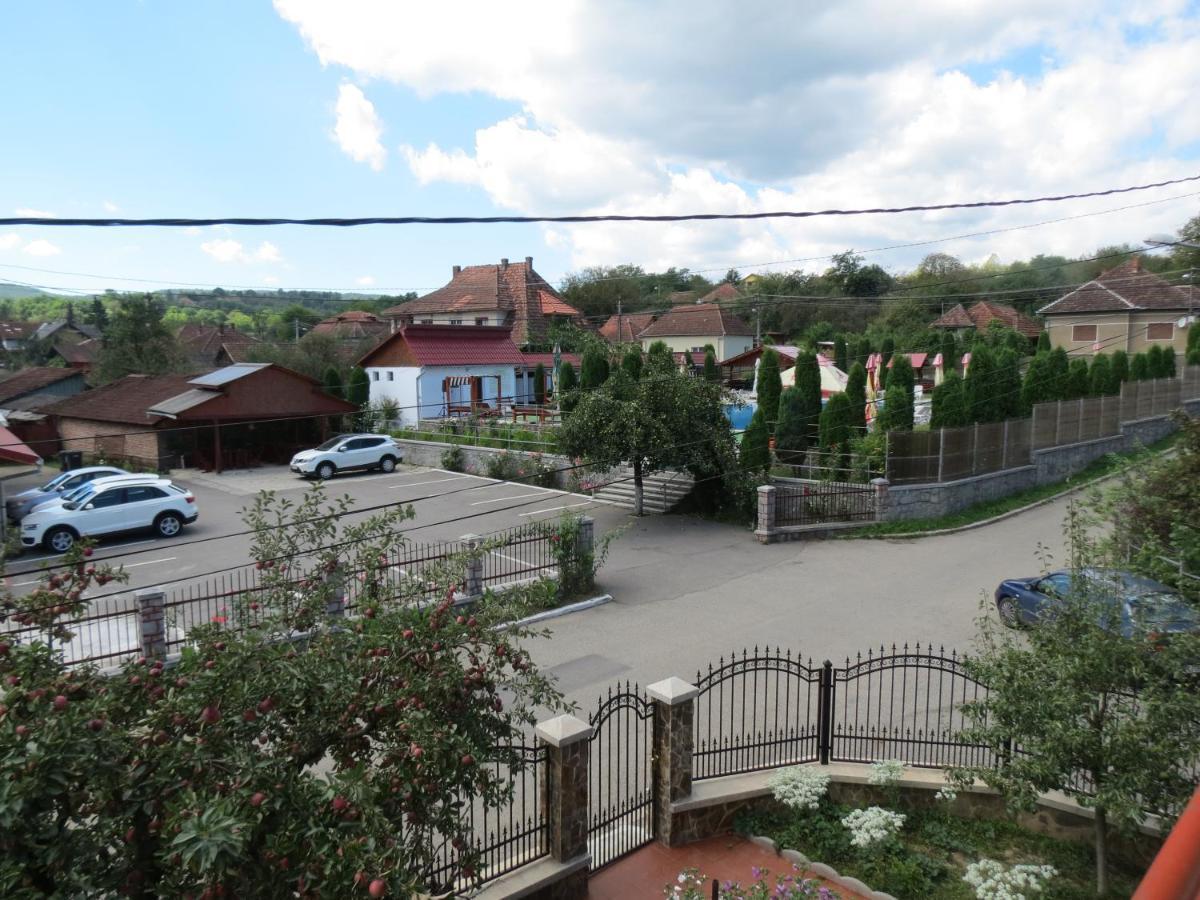 Pensiunea Cetina Brad  Buitenkant foto