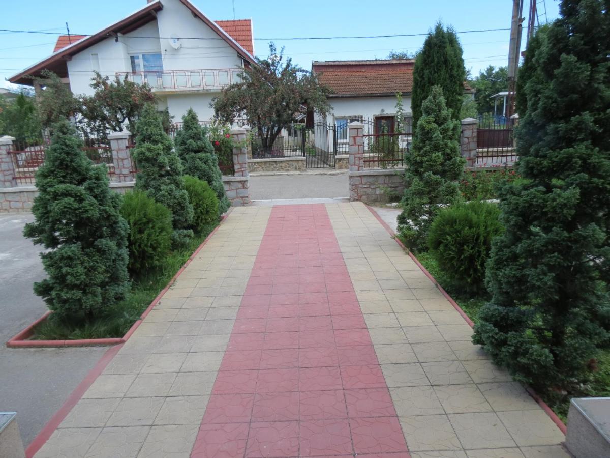 Pensiunea Cetina Brad  Buitenkant foto