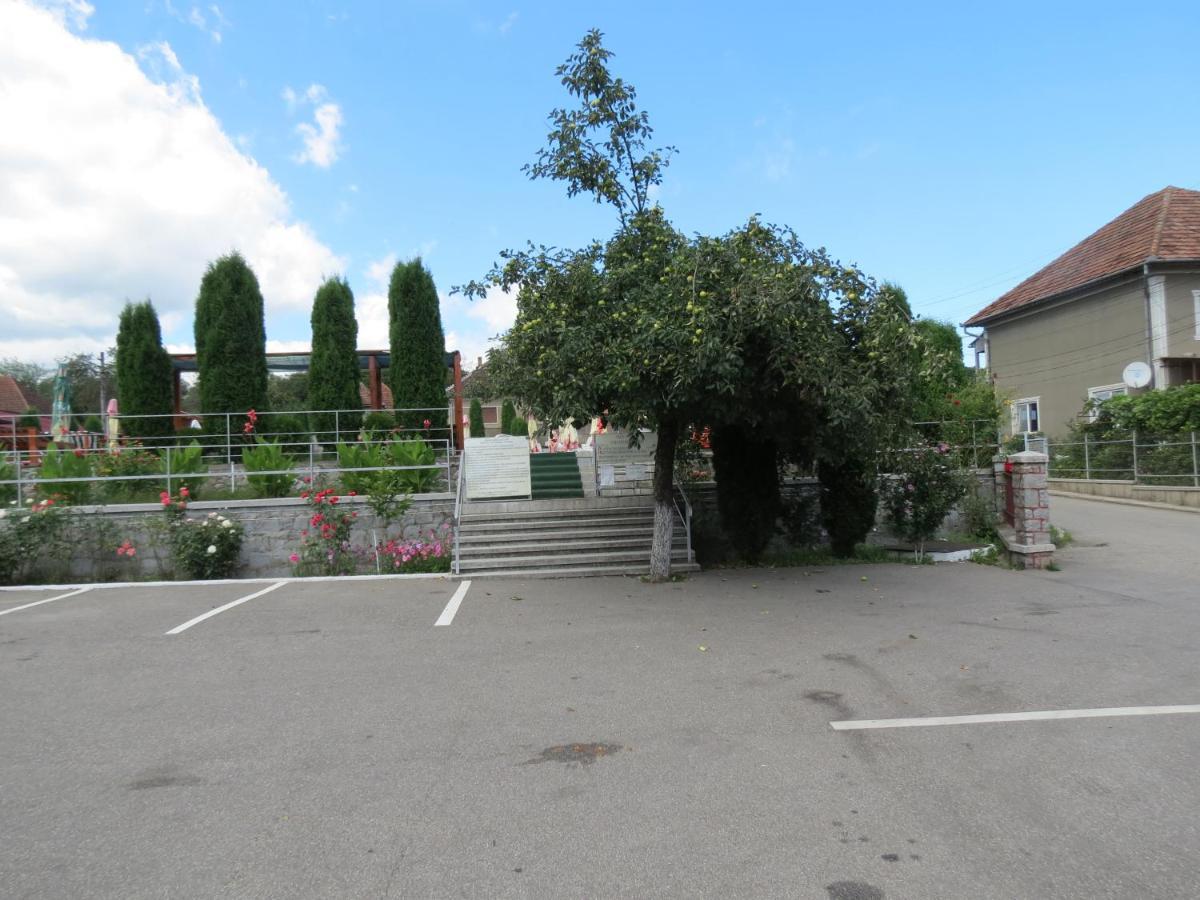 Pensiunea Cetina Brad  Buitenkant foto