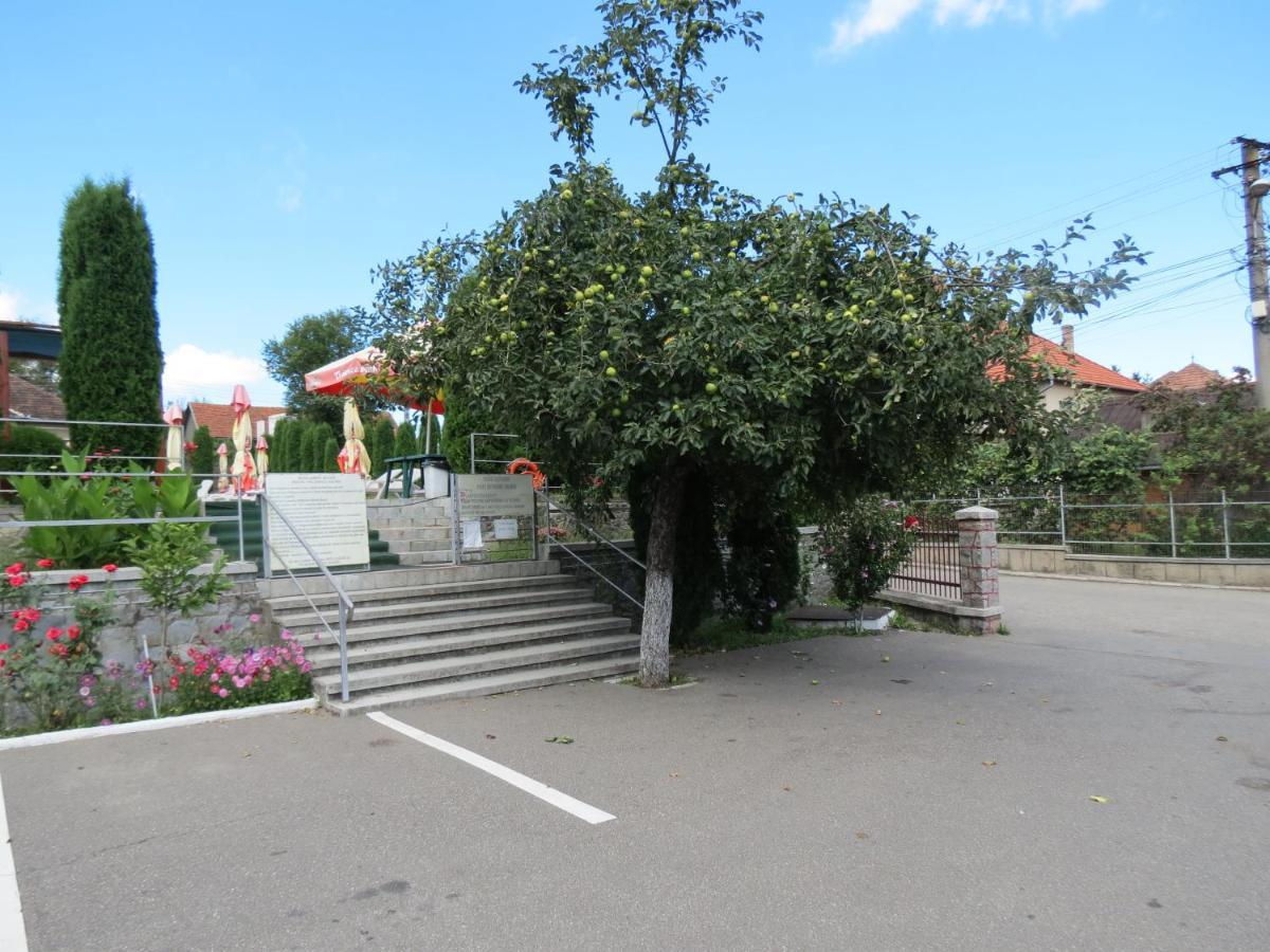 Pensiunea Cetina Brad  Buitenkant foto