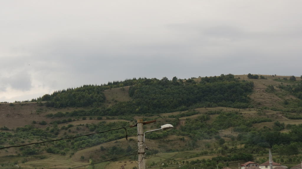Pensiunea Cetina Brad  Buitenkant foto