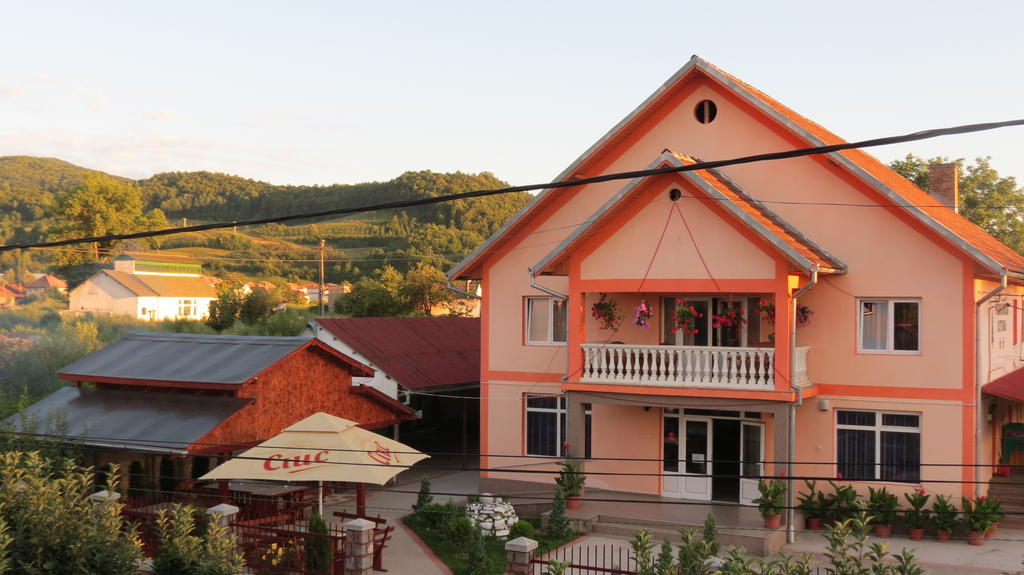 Pensiunea Cetina Brad  Buitenkant foto