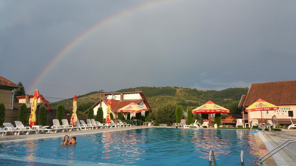 Pensiunea Cetina Brad  Buitenkant foto